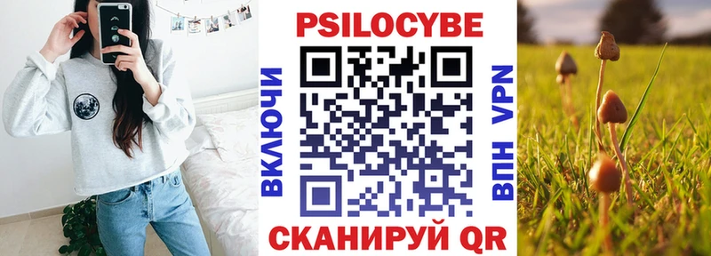 Псилоцибиновые грибы Psilocybine cubensis Абаза